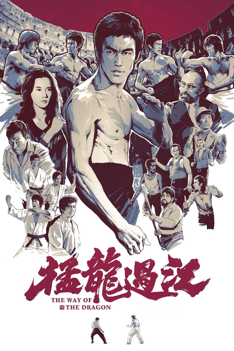 猛龙过江高清海报