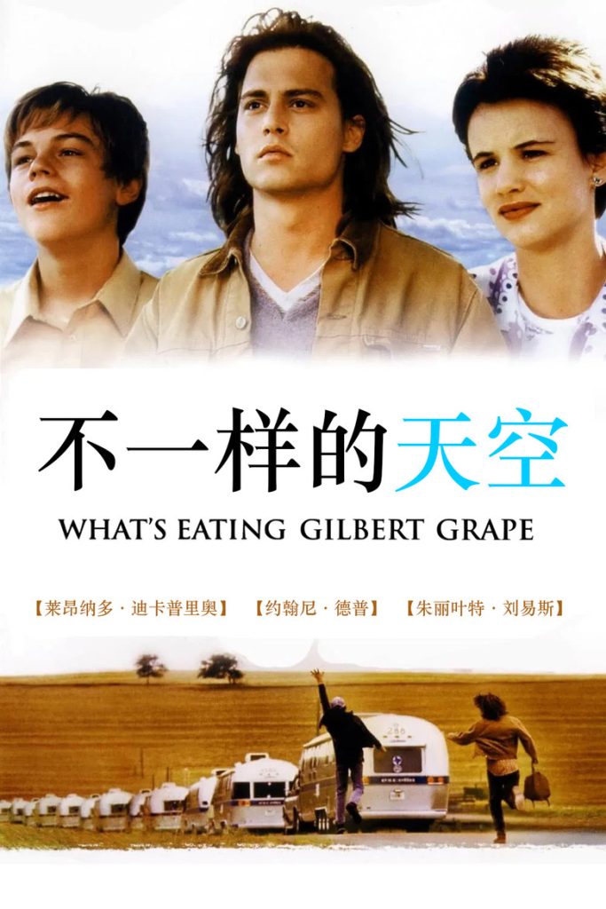 不一样的天空 What’s Eating Gilbert Grape 1993 莱塞·霍尔斯道姆 约翰尼·德普 莱昂纳多·迪卡普里奥电影高清完整版下载