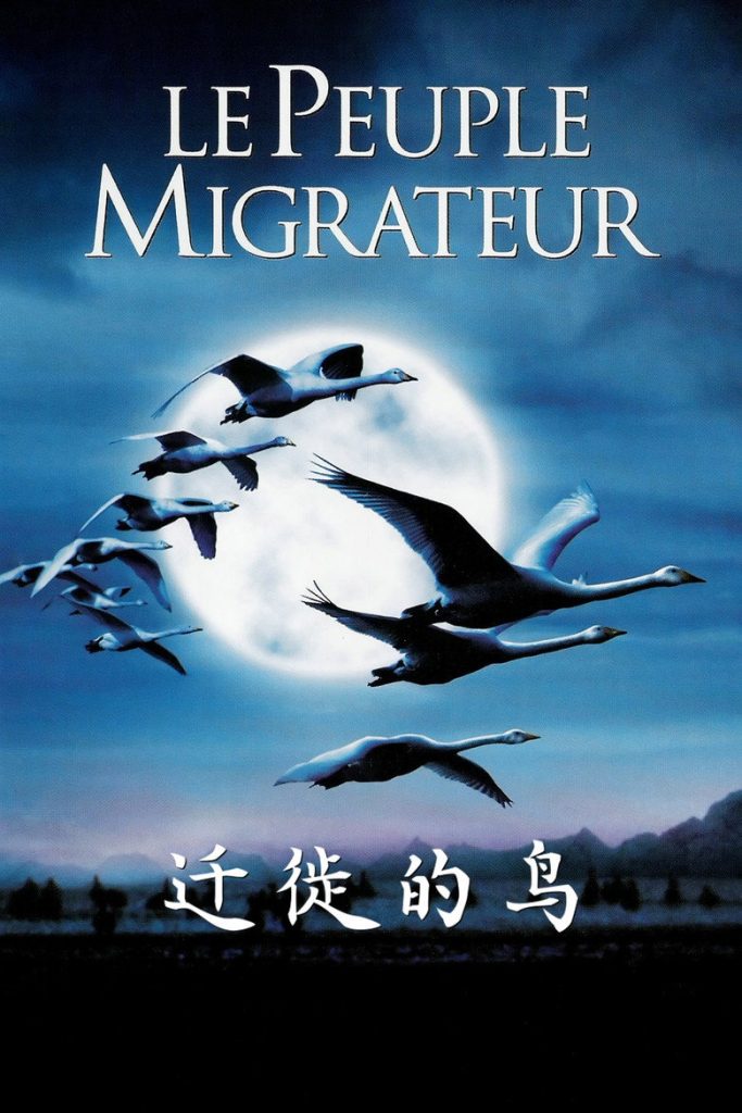 迁徙的鸟 Winged Migration 2001 雅克·贝汉 菲利普·拉布罗电影高清完整版下载