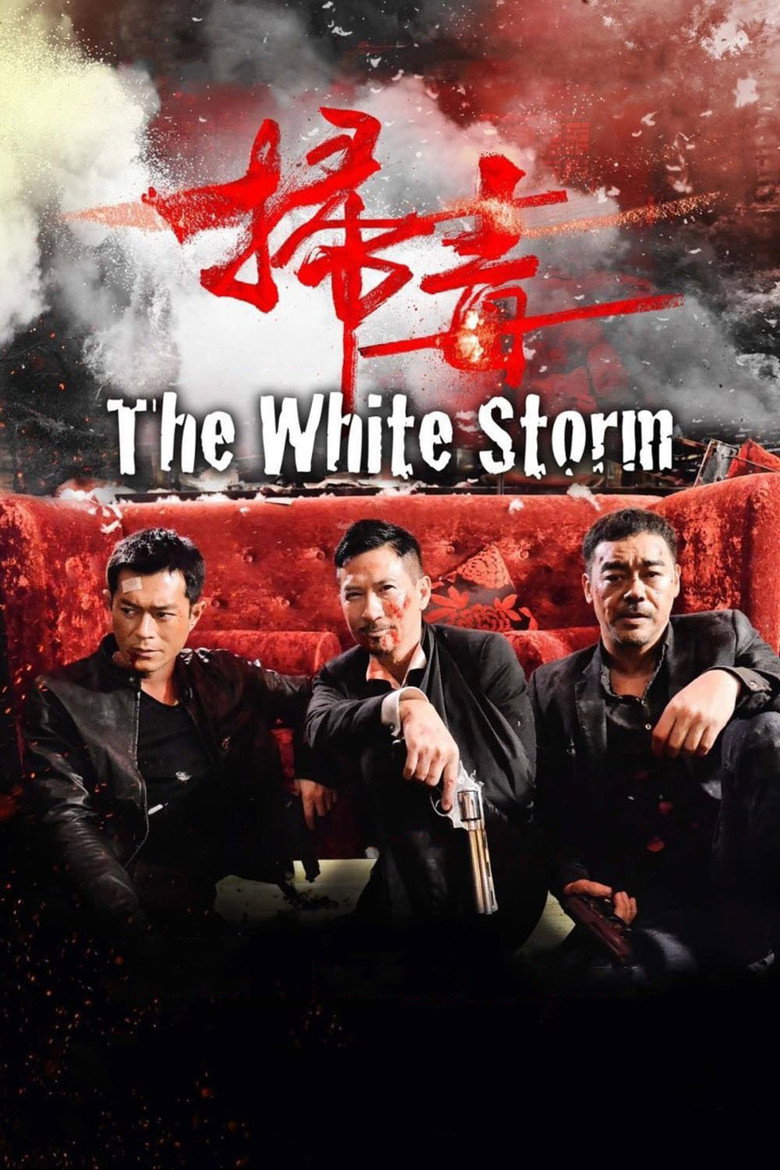 扫毒 The White Storm 2013 刘存明 张家辉 刘青云电影高清完整版下载