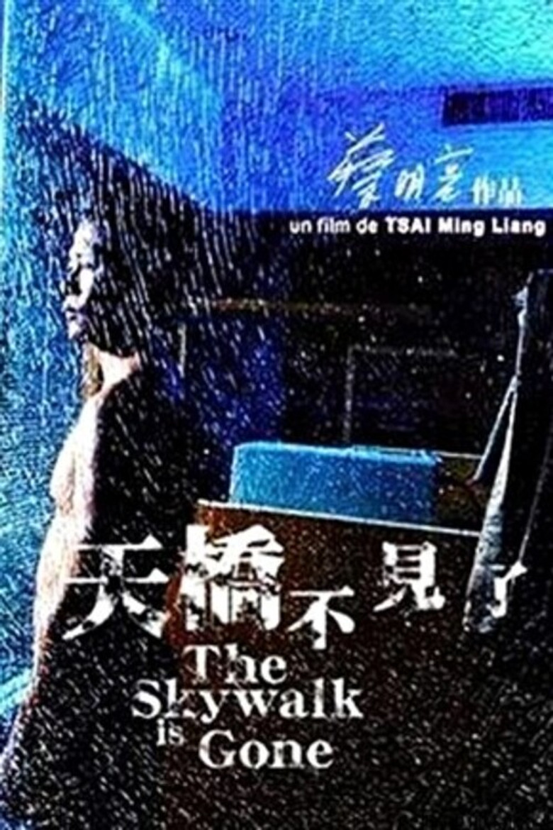天桥不见了 The Skywalk Is Gone 2003 蔡明亮 陈湘琪 李康生电影高清完整版下载