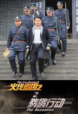 火线追凶第二季[全集] Fire Line Hunting 2: The Sensation 2012 邓衍成 吕良伟 李若斯电影高清完整版下载