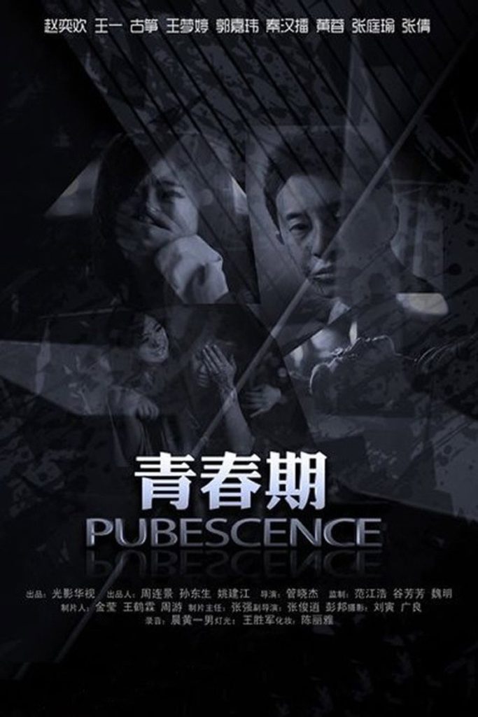 青春期1-3 Pubescence 2011 管晓杰 赵奕欢 王一电影高清完整版下载