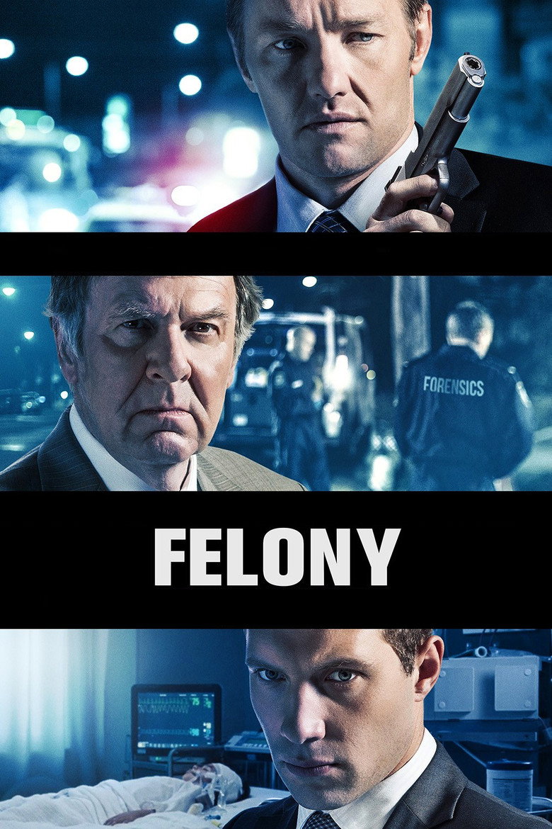 重罪 Felony 2014 乔尔·埃哲顿 梅丽莎·乔治电影高清完整版下载