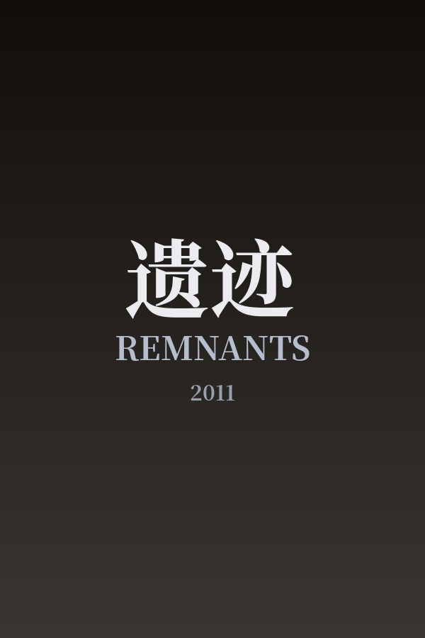 遗迹 Remnants 2011 彼得·恩格特 爱德华·福隆 莫尼卡·凯娜电影高清完整版下载