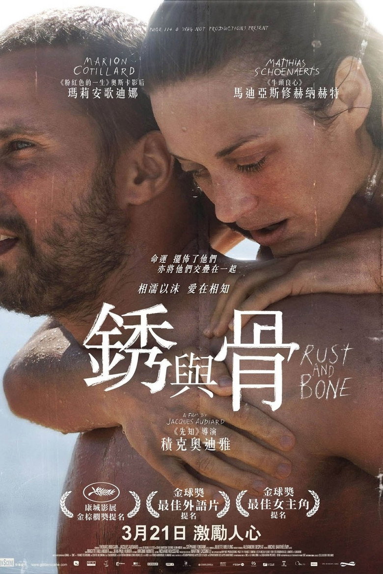 锈与骨高清海报