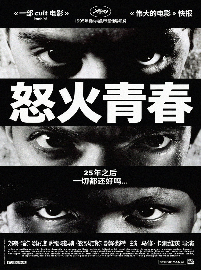 怒火青春高清海报