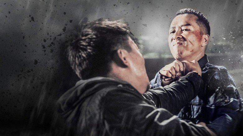 一个人的武林影片截图