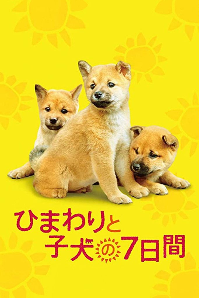 向日葵与幼犬的7天 7 Days of Sunflower and Her Puppies 2013 平松惠美子 堺雅人 中谷美纪电影高清完整版下载