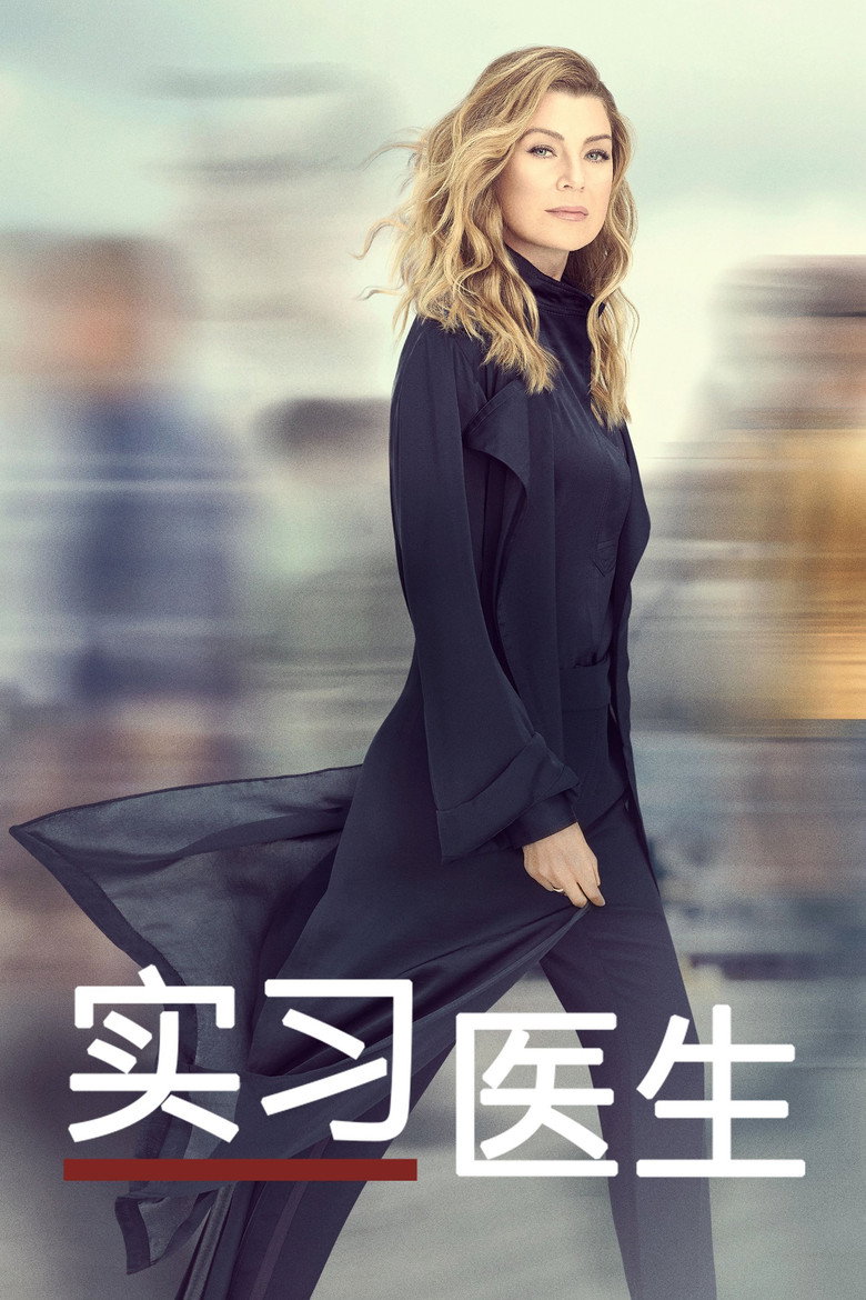 实习医生格蕾 第12季 Grey’s Anatomy Season 12 2005 医疗爱情 长寿剧经典高清完整版下载