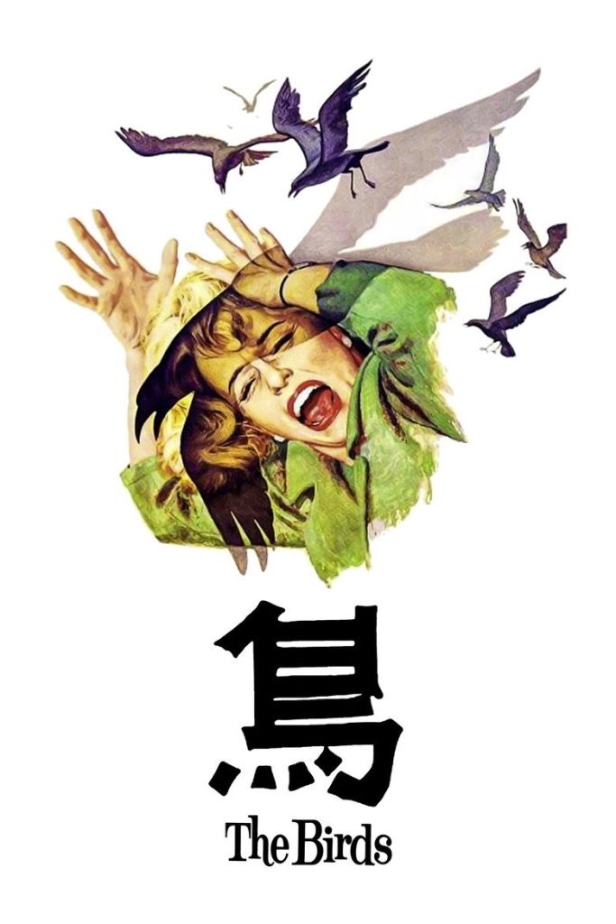 群鸟 The Birds 1963 阿尔弗雷德·希区柯克 蒂比·海德莉 罗德·泰勒电影高清完整版下载